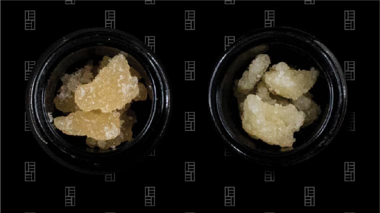 Black Tuna - Live Resin