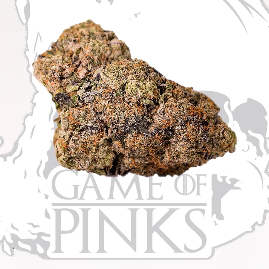 Pink Dragon - Game of Pinks