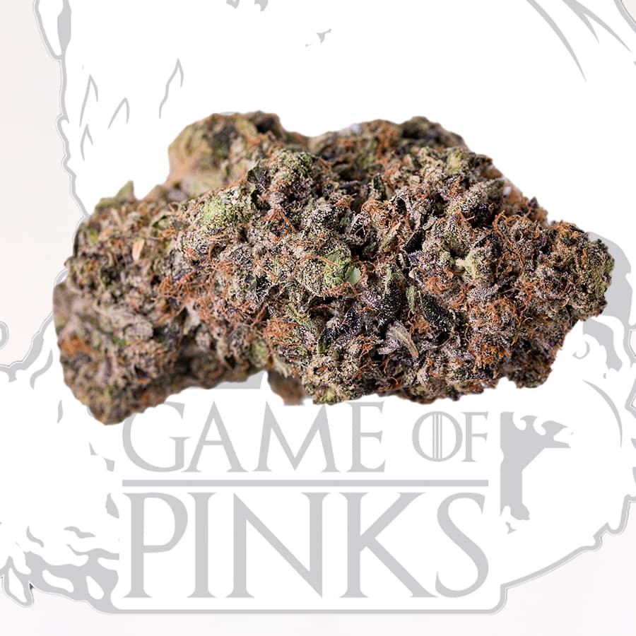 Pink Blizzard - Game of Pinks