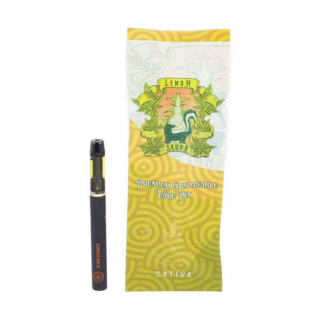 Disposable Pen