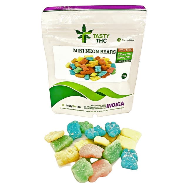 Neon Bears - Minis
