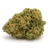 Acapulco Gold