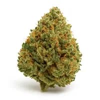 Alaskan Thunder Fuck