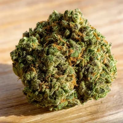 ALIEN DIESEL