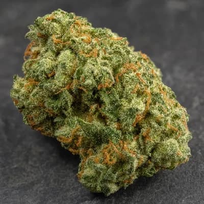 Alien Fuel