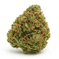 Alien OG