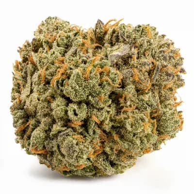 Amnesia Haze 32