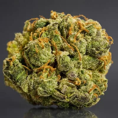 Amnesia Kush