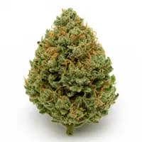 Animal OG