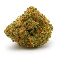Apple Fritter