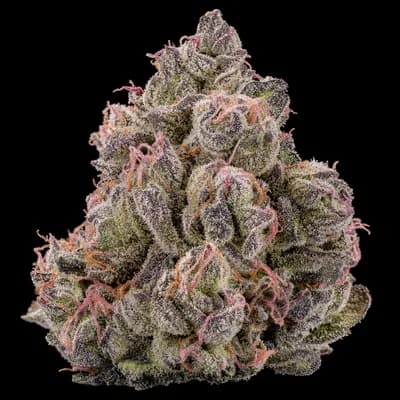 Astro Pink