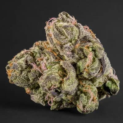 Astropink Fire