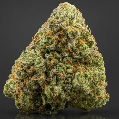 Banana Funk