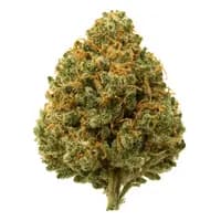 Banana OG