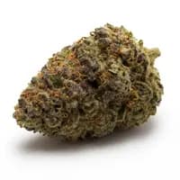 Berry Punch