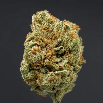 Big Bud Haze