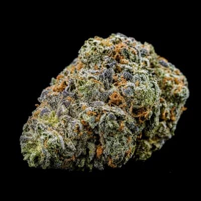 Biscotti Gelato
