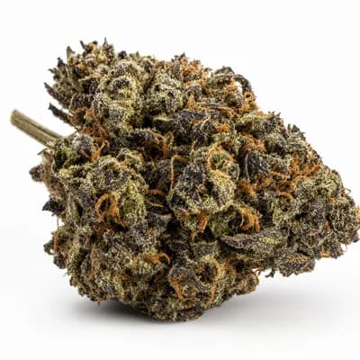 Black Cherry