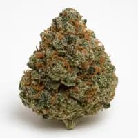 Black Cherry Punch