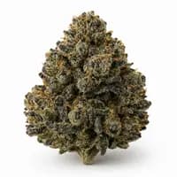 Black Diesel