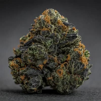 Black Kush