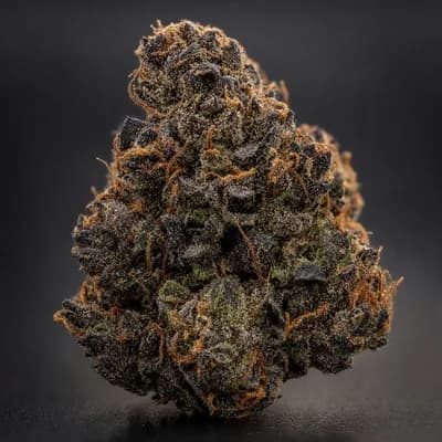 Black Vanilla