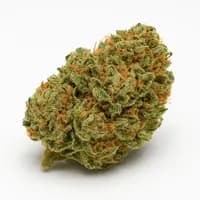 Blue Dream