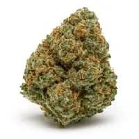 Blue Gelato