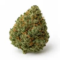 Blueberry
