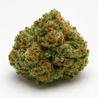 Blueberry OG