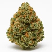 Blueberry Pie