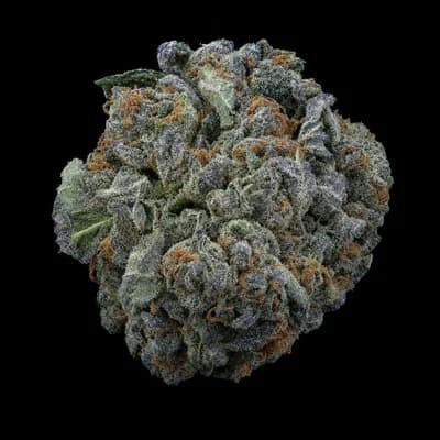 Blueberry Shizzle