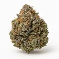 Blueberry Yum Yum