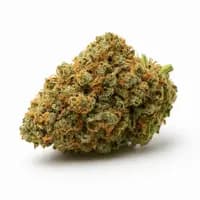 Boss OG