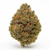 Bruce Banner