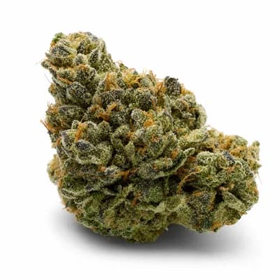 Bubba Cheese