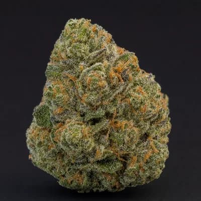 Bubble Gum Diesle