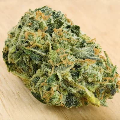 BUBBLEGUM