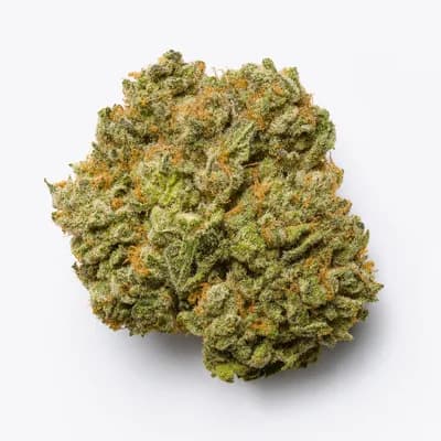 Bubblegum AK