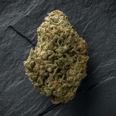 Bubblegum Gelato