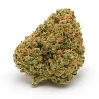 Burmese Kush