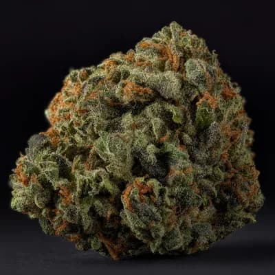 Butterscotch