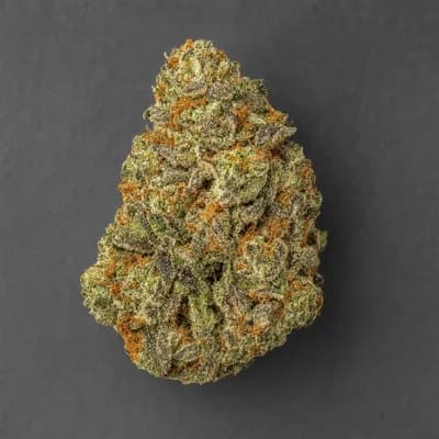 Cactus Haze