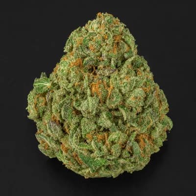 Cali Gas