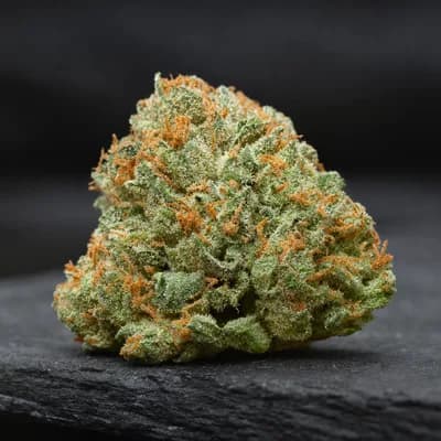 CANDY DREAM