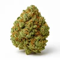 Candyland