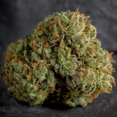 Cantaloupe Haze