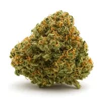 Chem de la Chem