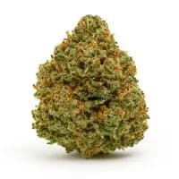 Chemdawg
