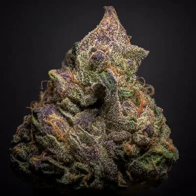 Cherry Bomb 29